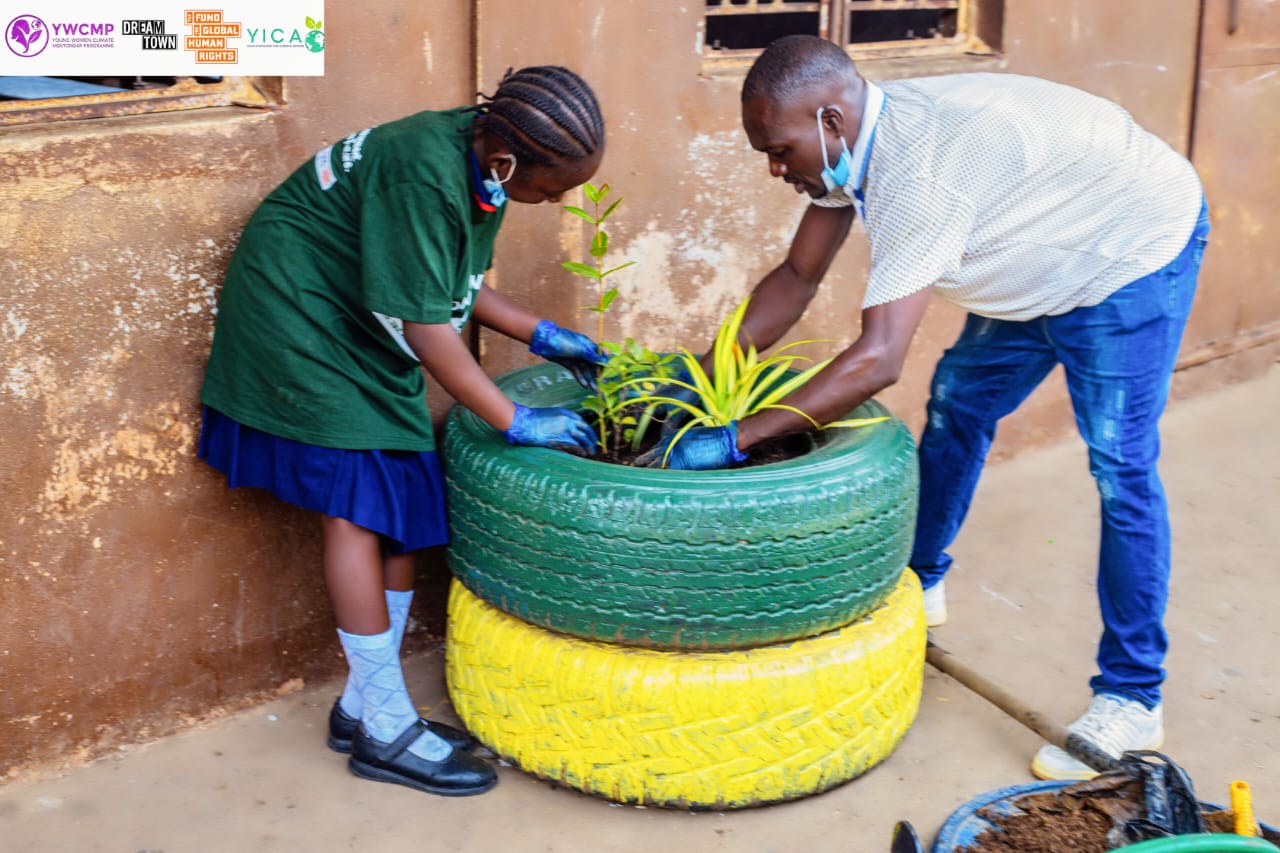 School gardens